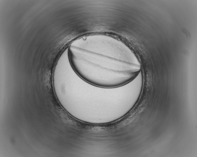 X0000110861265200907301345