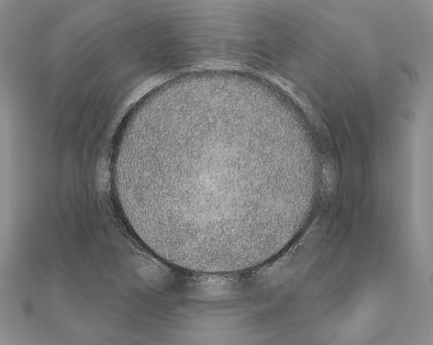 X0000110861266200907301345