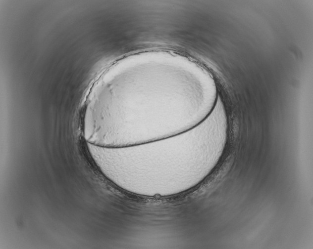 X0000110861267200907301344