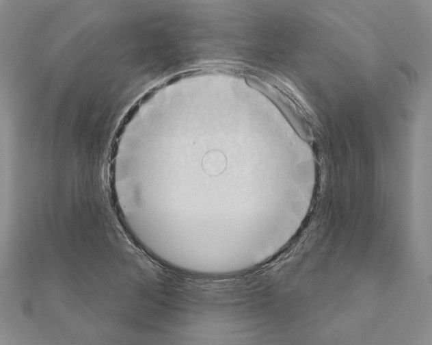 X0000110861268200907301344