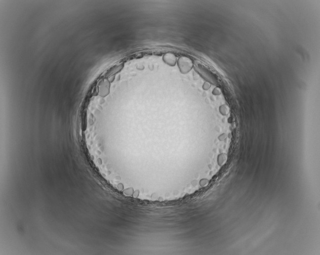 X0000110861269200907301344
