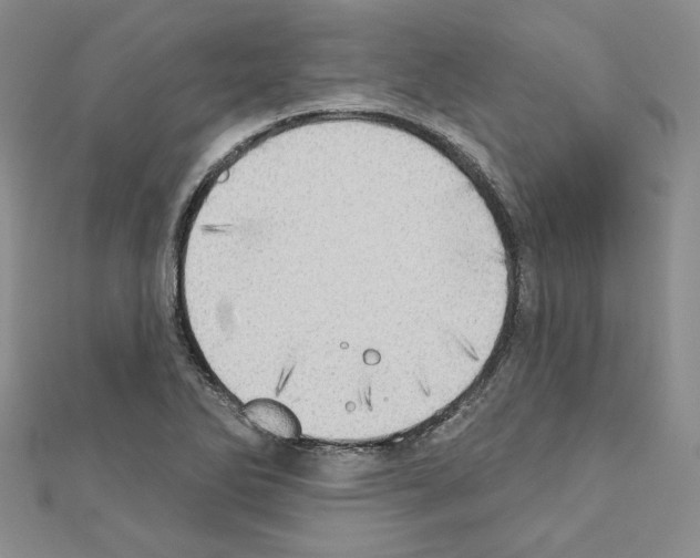 X0000110861270200907301344