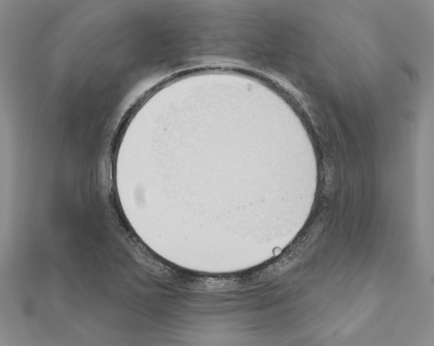 X0000110861271200907301344
