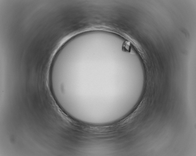 X0000110861272200907301344
