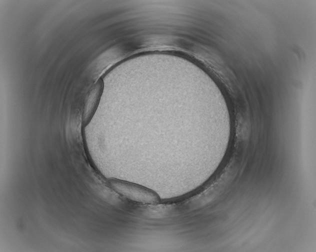 X0000110861273200907301344