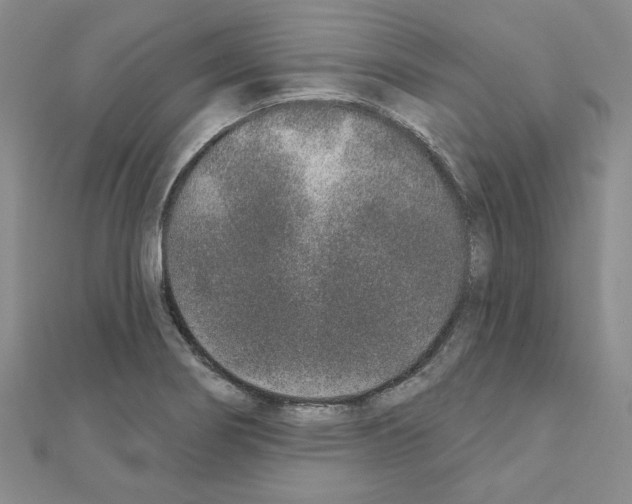 X0000110861274200907301344