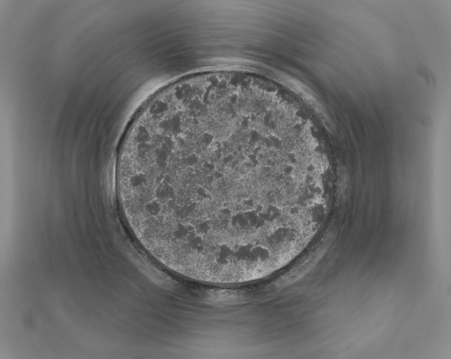 X0000110861275200907301344