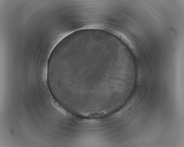 X0000110861276200907301344