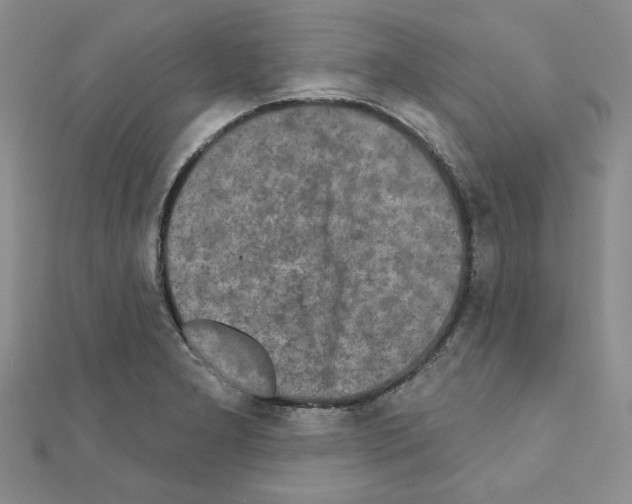 X0000110861277200907301344