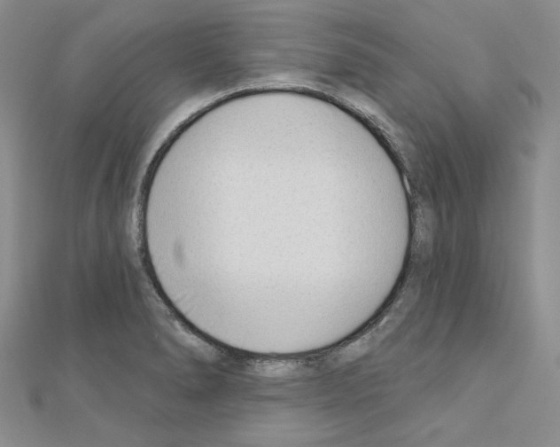 X0000110861278200907301344