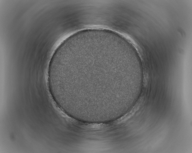 X0000110861279200907301344