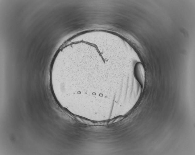X0000110861280200907301344