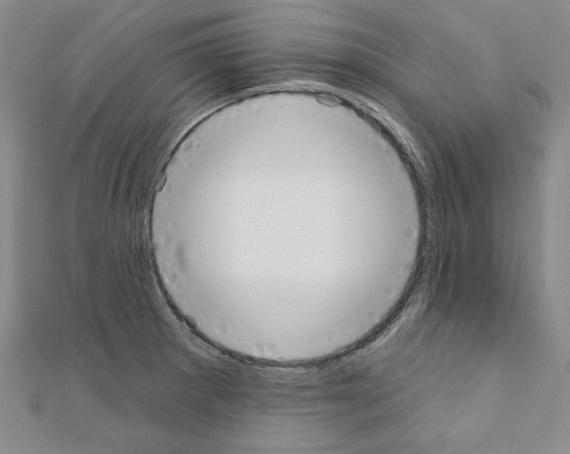 X0000110861281200907301344