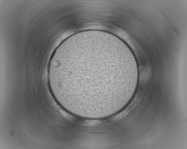 X0000110861282200907301344