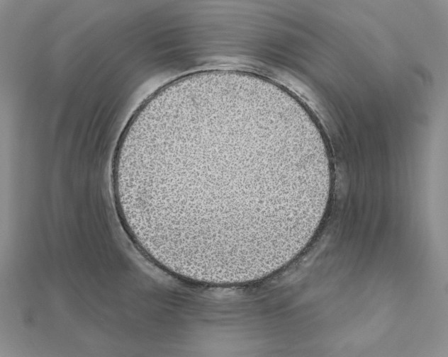 X0000110861283200907301344