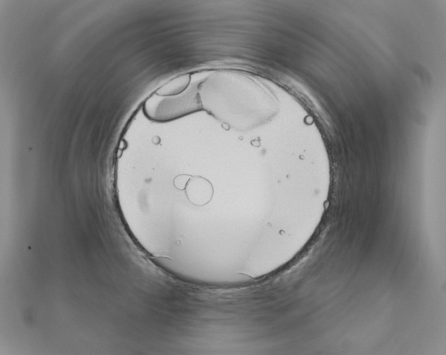 X0000110861284200907301344