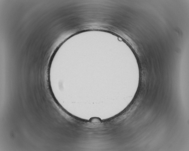X0000110861285200907301344