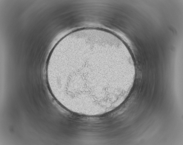 X0000110861287200907301344