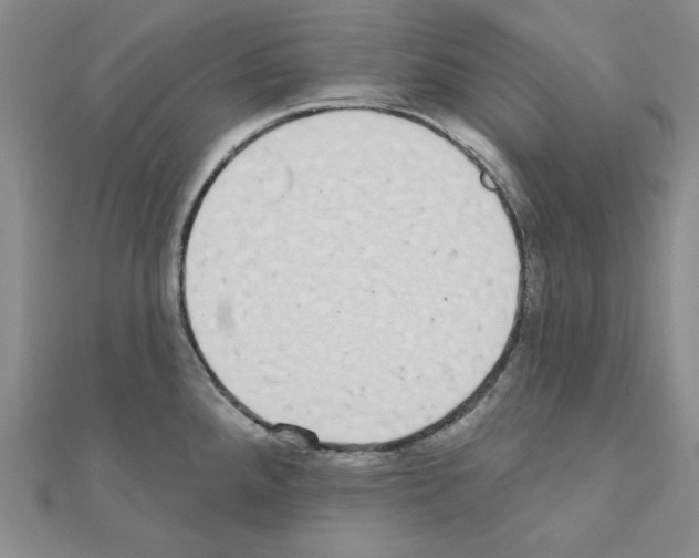 X0000110861288200907301344