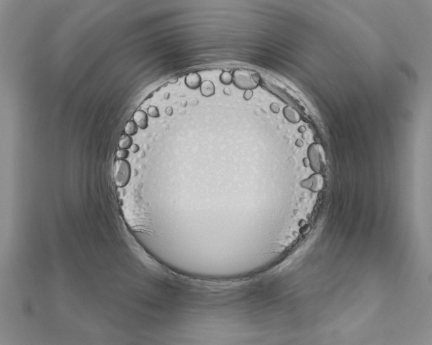 X0000110861289200907301344