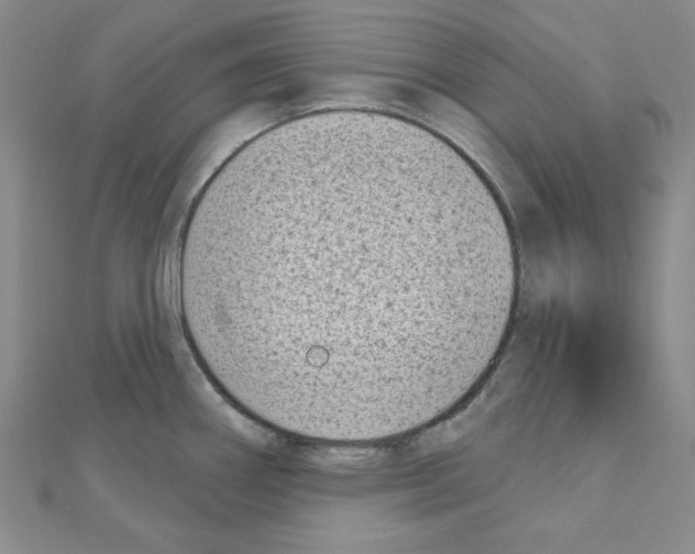 X0000110861290200907301344