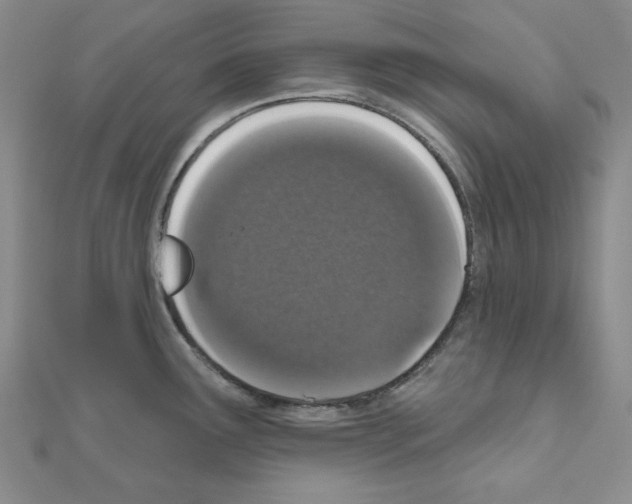 X0000110861291200907301344