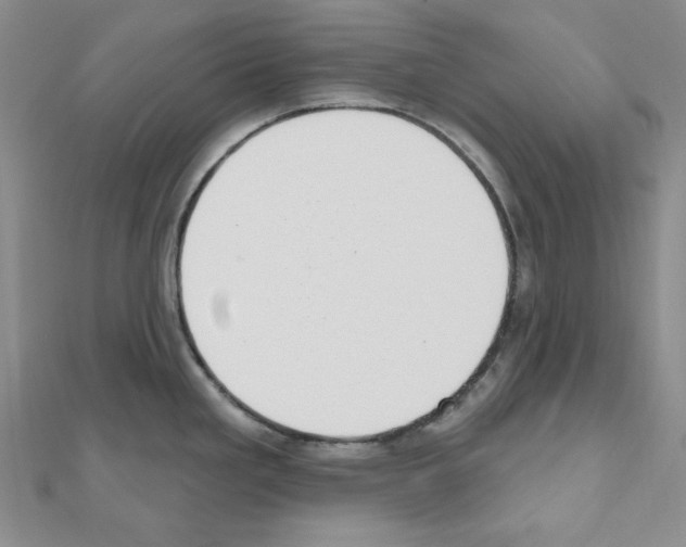 X0000110861293200907301344