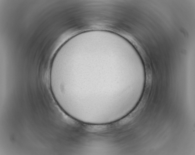 X0000110861294200907301344