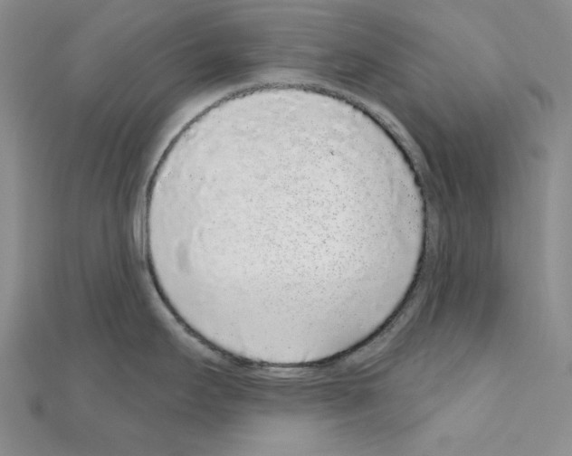 X0000110861295200907301344