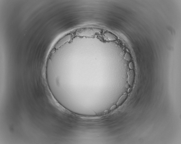X0000110861296200907301344