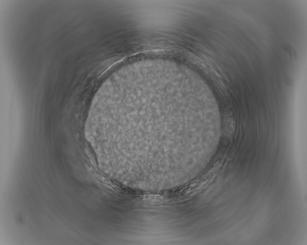 X0000110861297200907301344