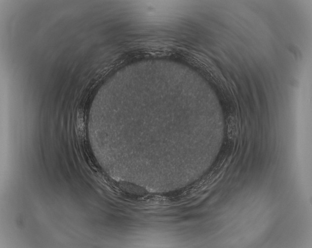 X0000110861298200907301344