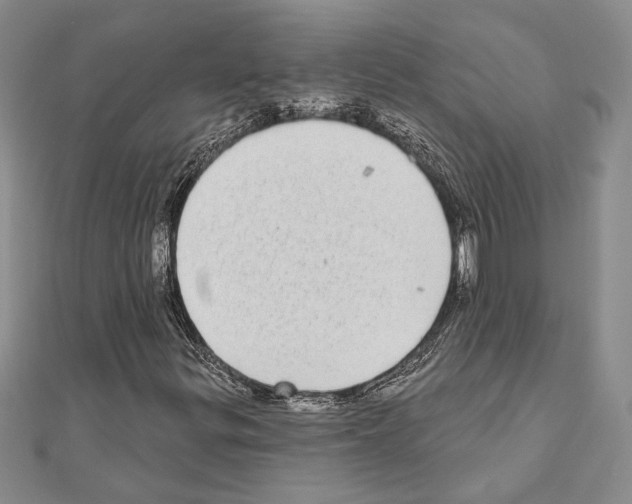 X0000110861299200907301344