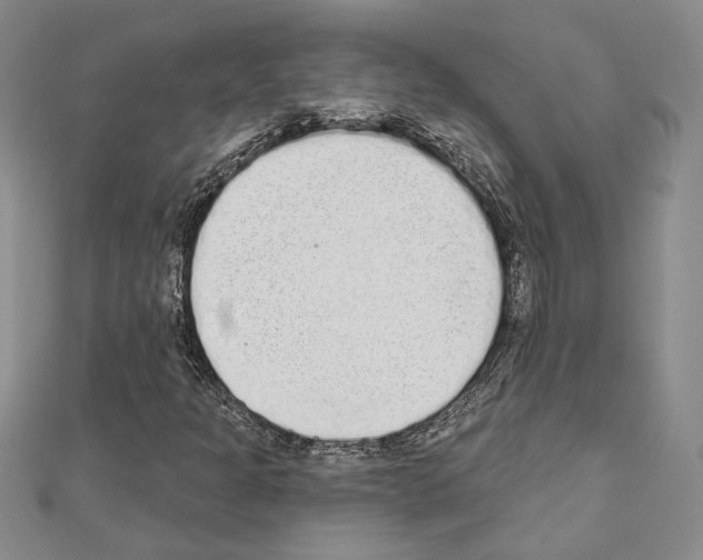 X0000110861301200907301344
