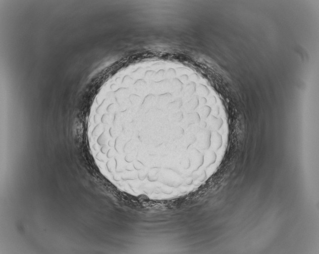 X0000110861302200907301344