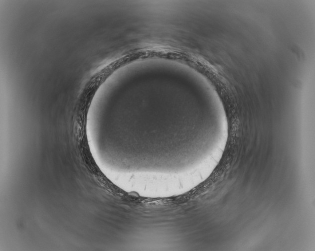 X0000110861303200907301344