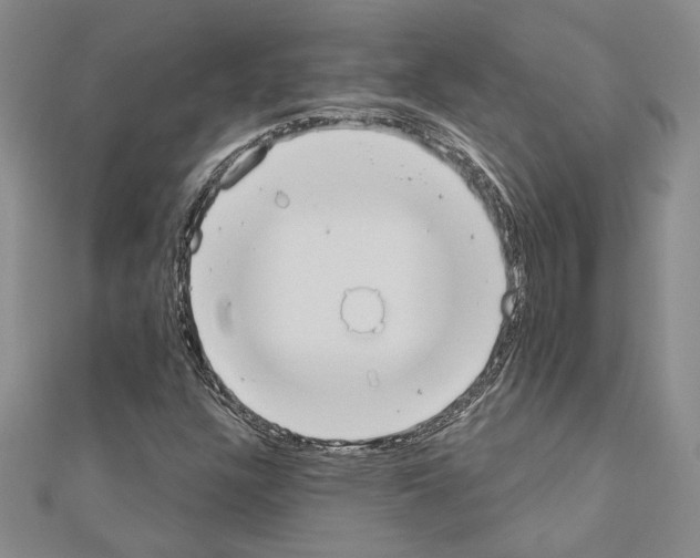 X0000110861304200907301344