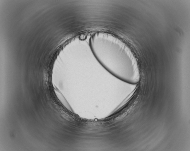 X0000110861305200907301344