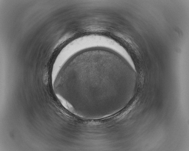 X0000110861306200907301344