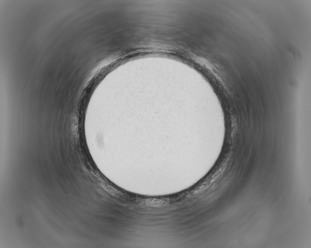 X0000110861307200907301344