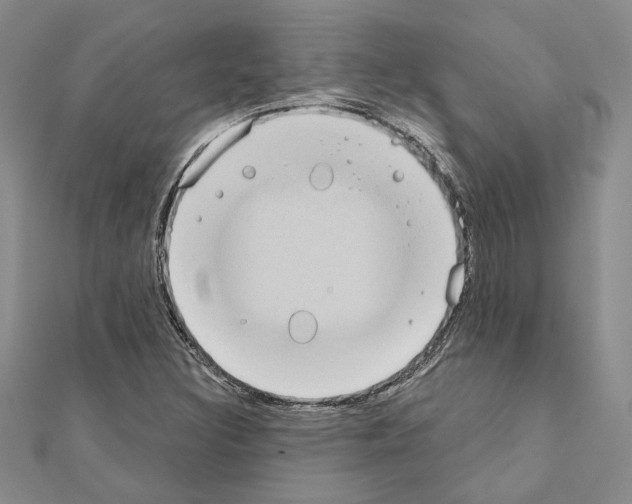X0000110861308200907301344