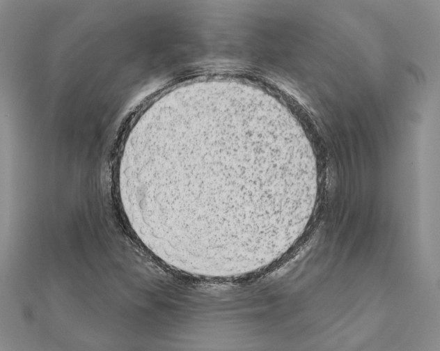 X0000110861309200907301344