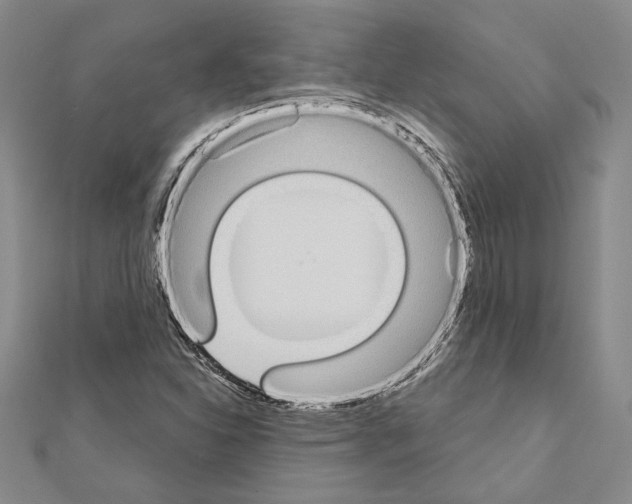 X0000110861310200907301344