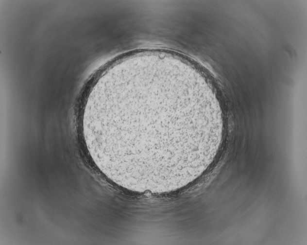 X0000110861311200907301344