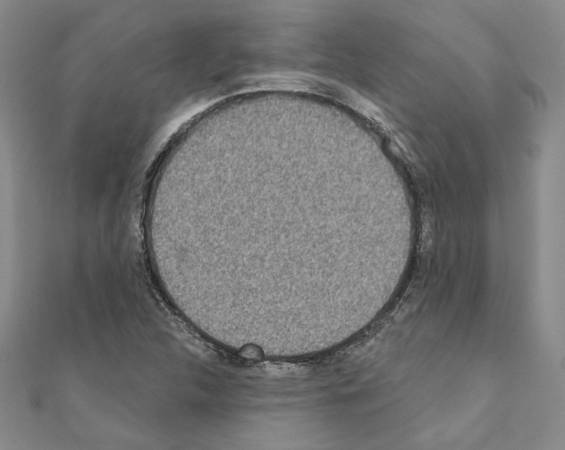 X0000110861312200907301344