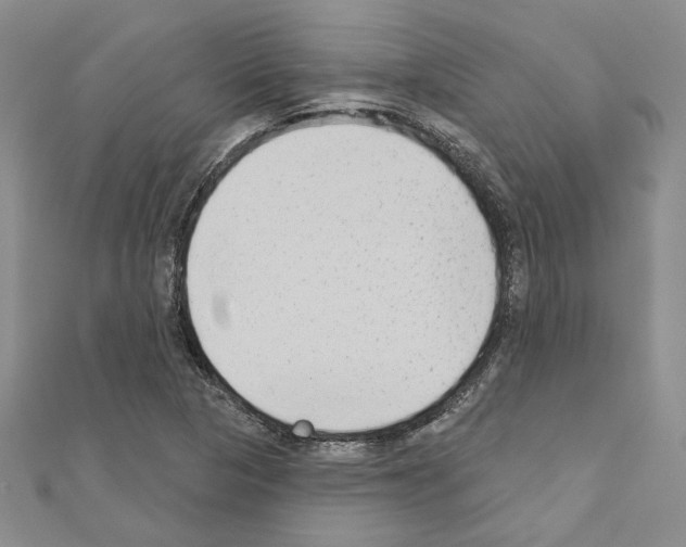X0000110861313200907301344