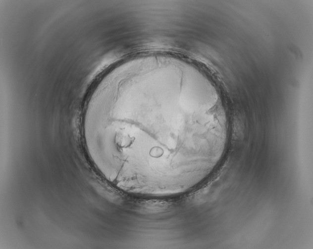 X0000110861314200907301344