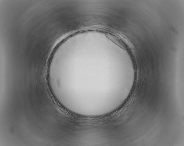 X0000110861316200907301344