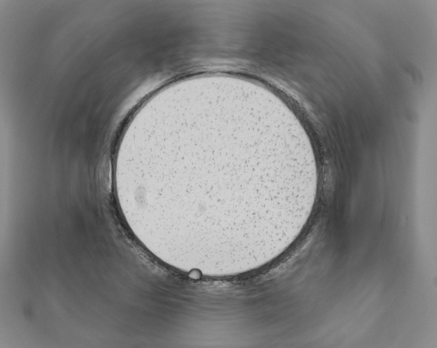 X0000110861317200907301344