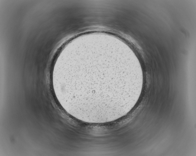 X0000110861318200907301344